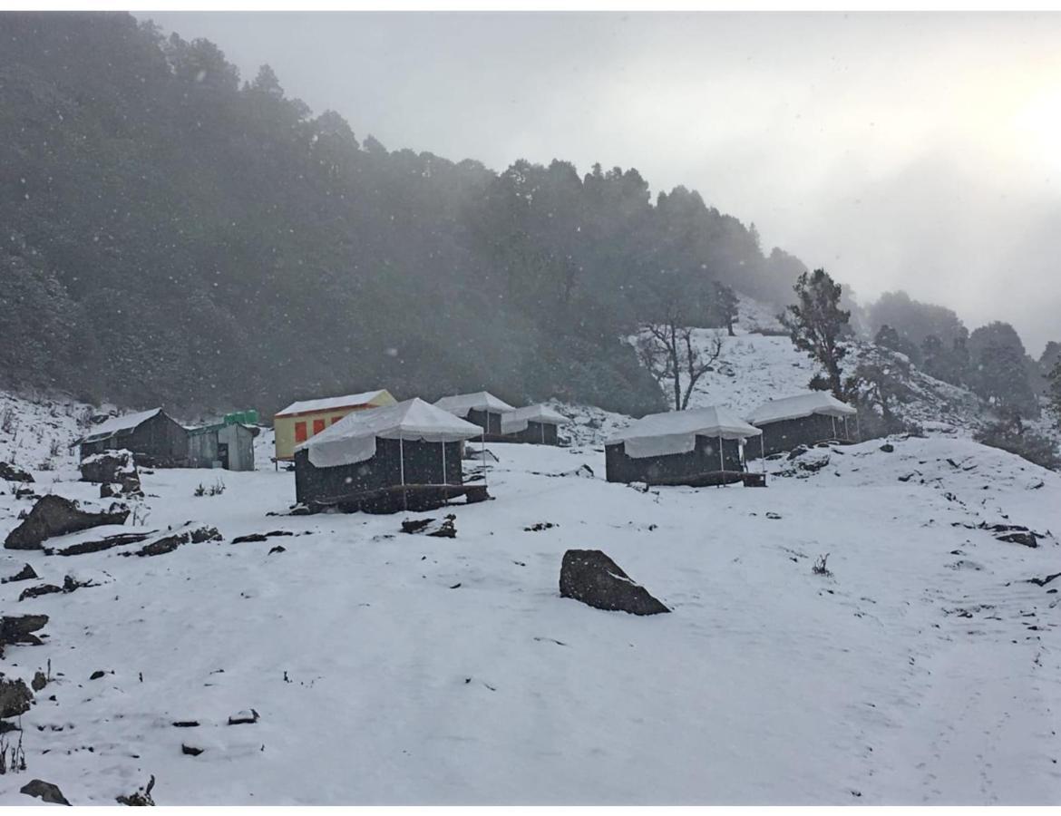 Chopta Wildlife Camps Resorts, Chopta Eksteriør billede