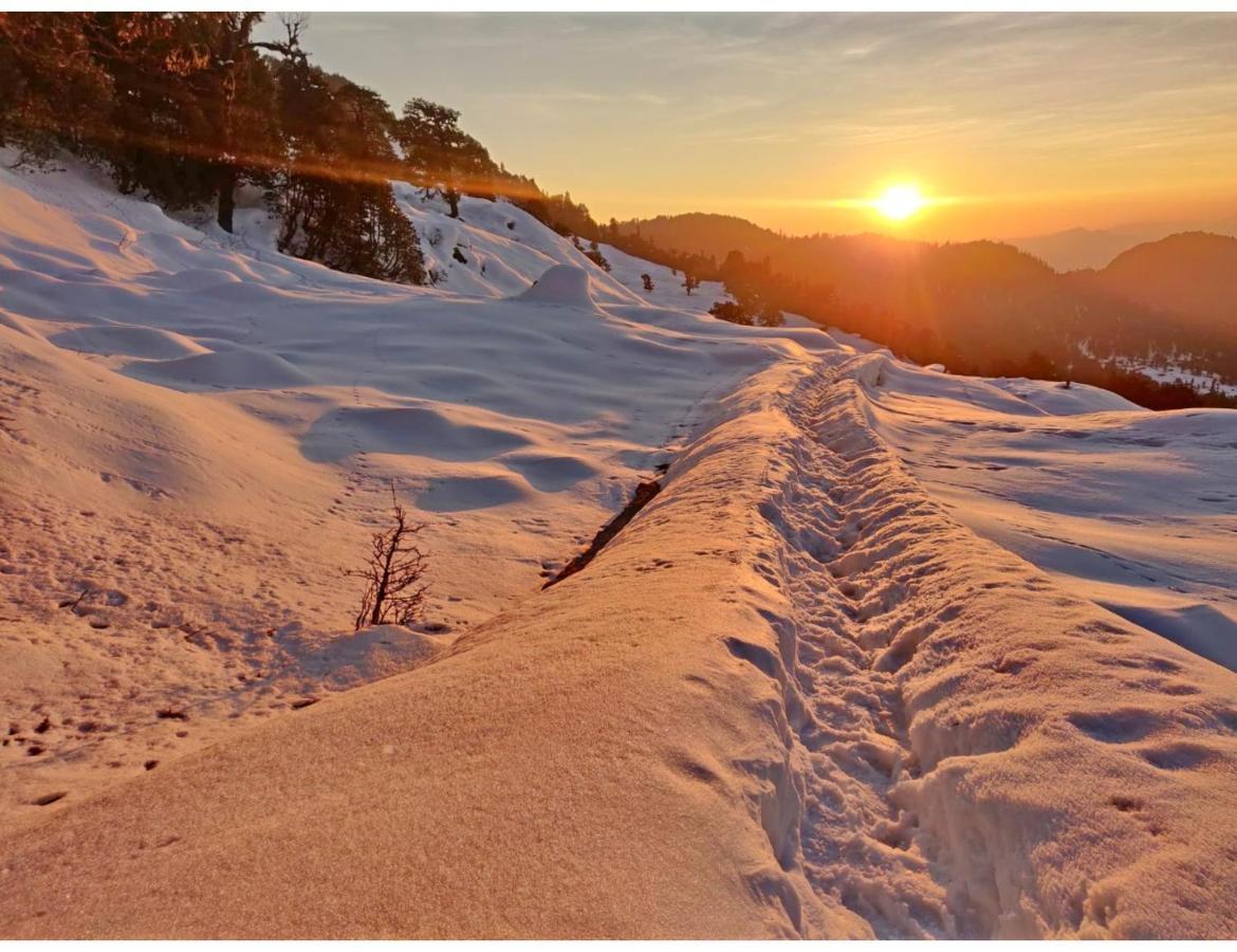 Chopta Wildlife Camps Resorts, Chopta Eksteriør billede