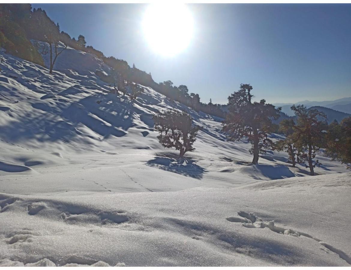 Chopta Wildlife Camps Resorts, Chopta Eksteriør billede