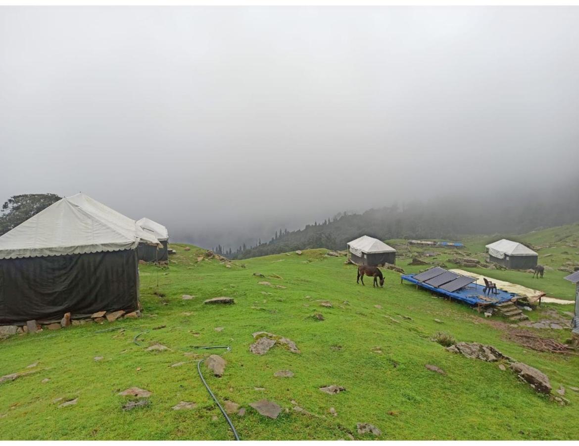 Chopta Wildlife Camps Resorts, Chopta Eksteriør billede