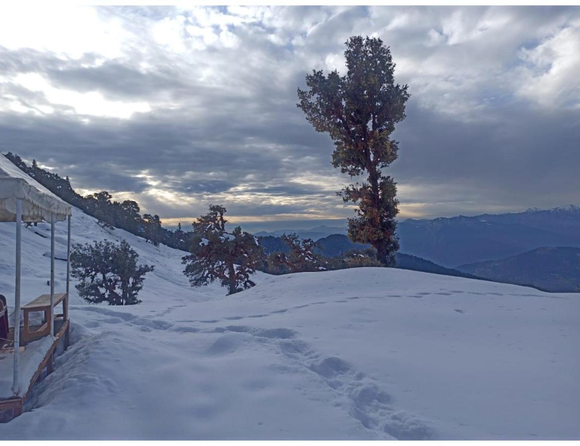 Chopta Wildlife Camps Resorts, Chopta Eksteriør billede