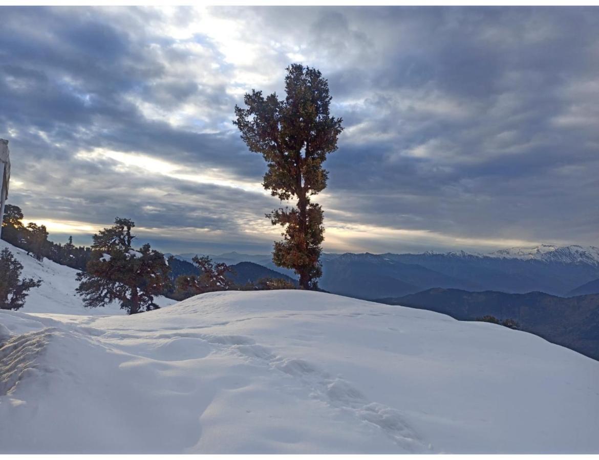 Chopta Wildlife Camps Resorts, Chopta Eksteriør billede