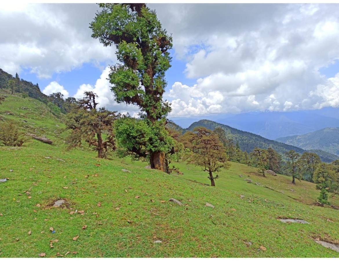 Chopta Wildlife Camps Resorts, Chopta Eksteriør billede